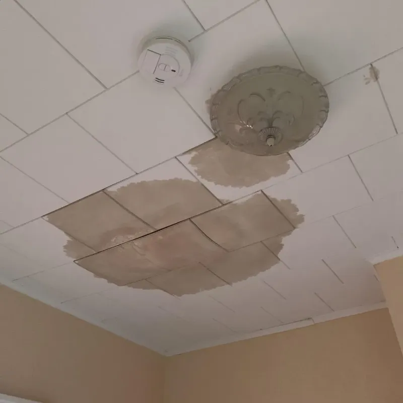Ceiling Water Damage Repair in Auburn, NE