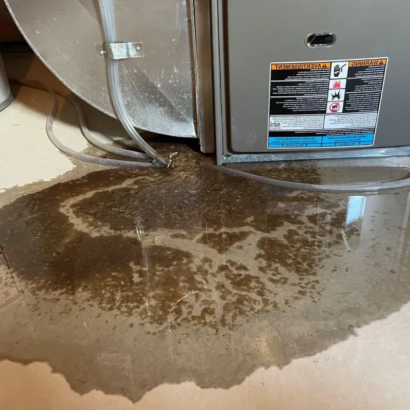 Pipe Burst and Leak Restoration in Auburn, NE